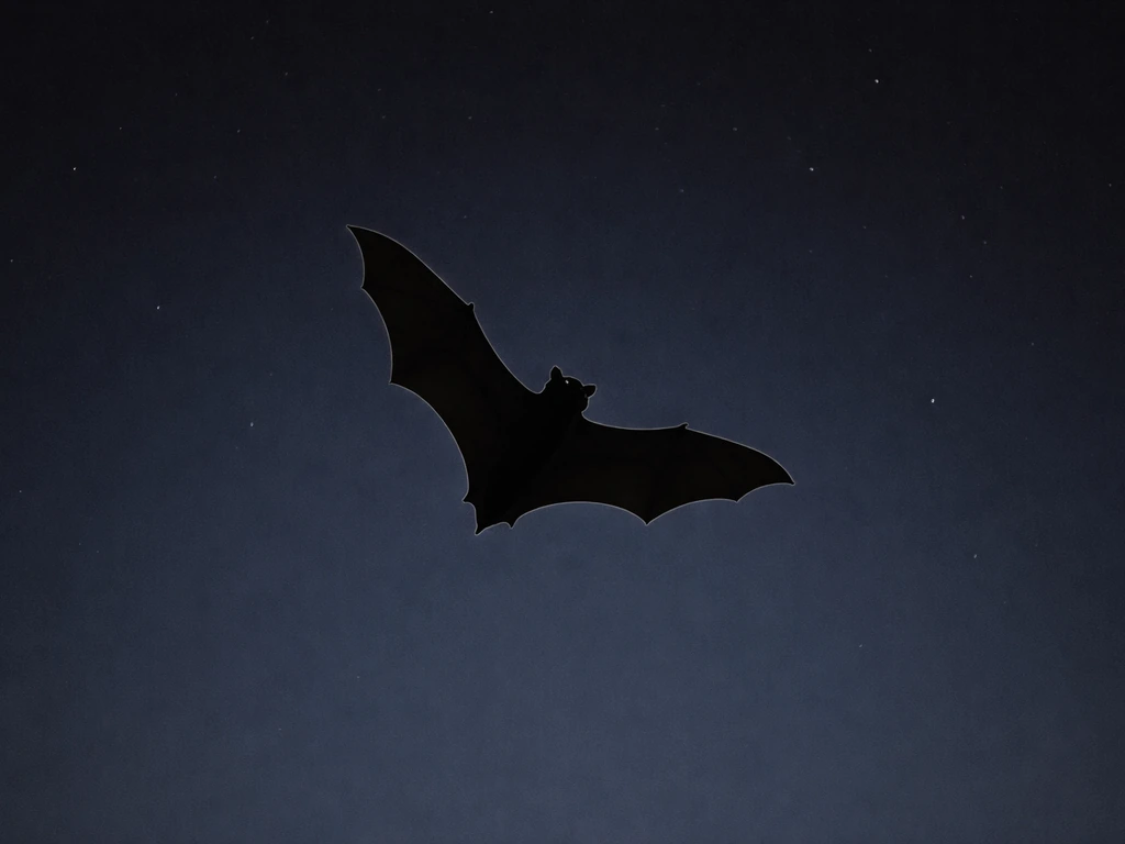 Dark bat silhouette gliding through a starry night sky, clearly showing it’s a bat not a bird.